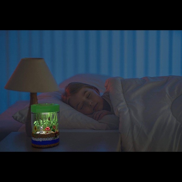 Light-Up Terrarium Kit - Picture 5 of 9